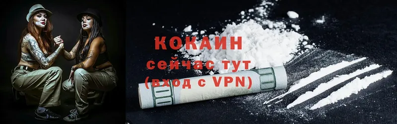 Cocaine Эквадор  Нытва 